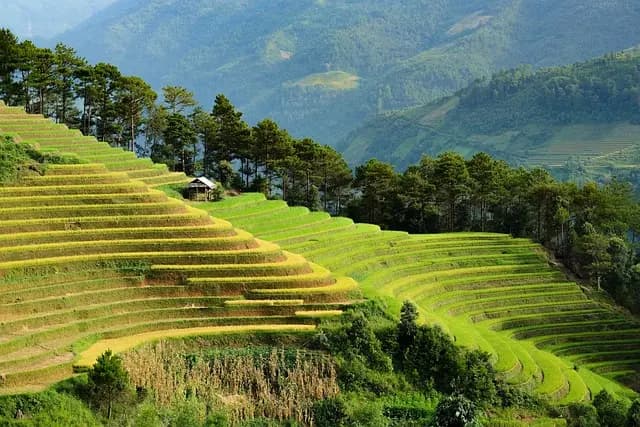 Las mejores tendencias de ecoturismo para tus próximas vacaciones
