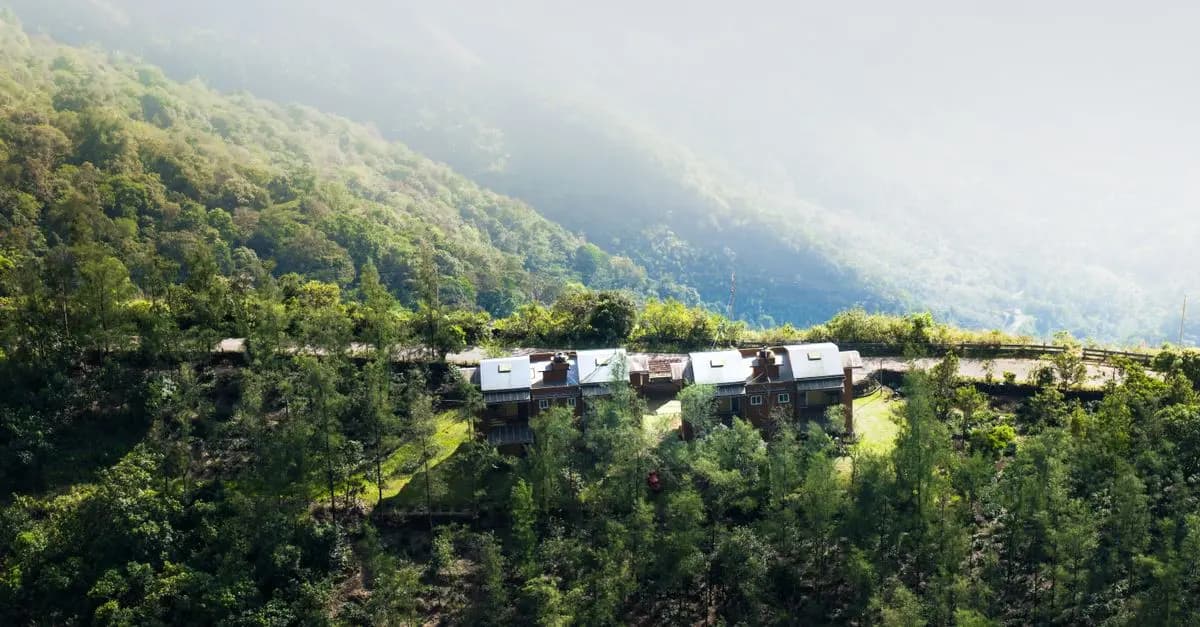 Las mejores tendencias de ecoturismo para tus próximas vacaciones