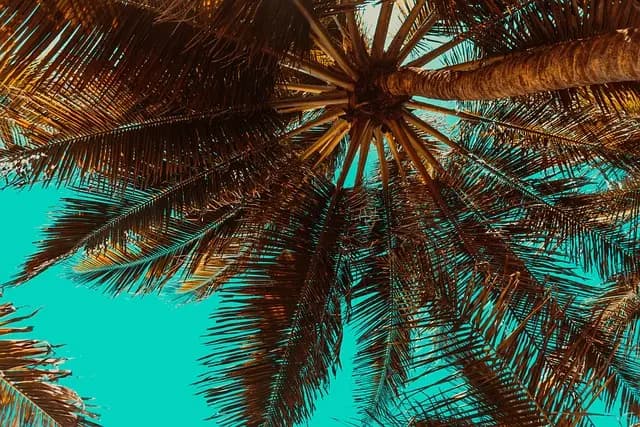 10 consejos para elegir el destino ideal para tus vacaciones