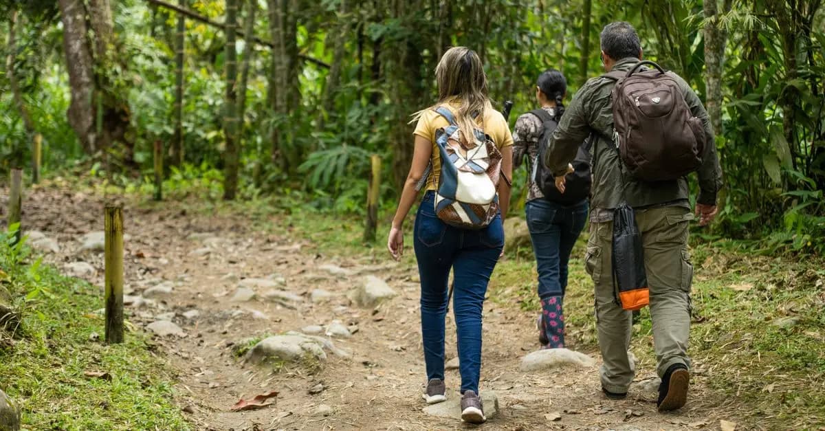 10 tendencias de viajes sostenibles que debes conocer